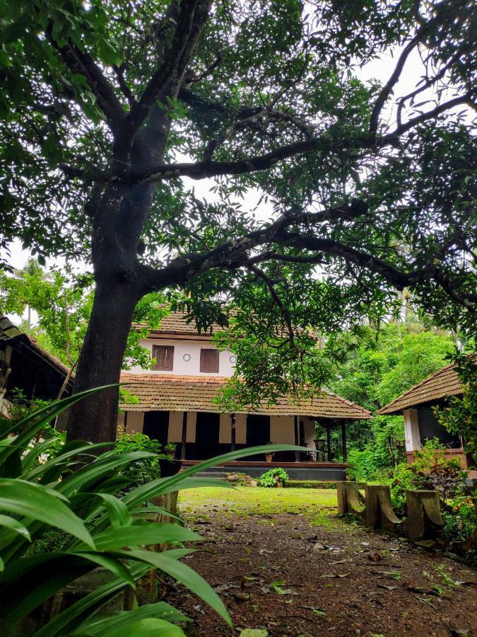 Villa Meadows Thrissur Exterior foto